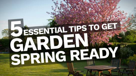 Tips to Get Your Garden Spring Ready